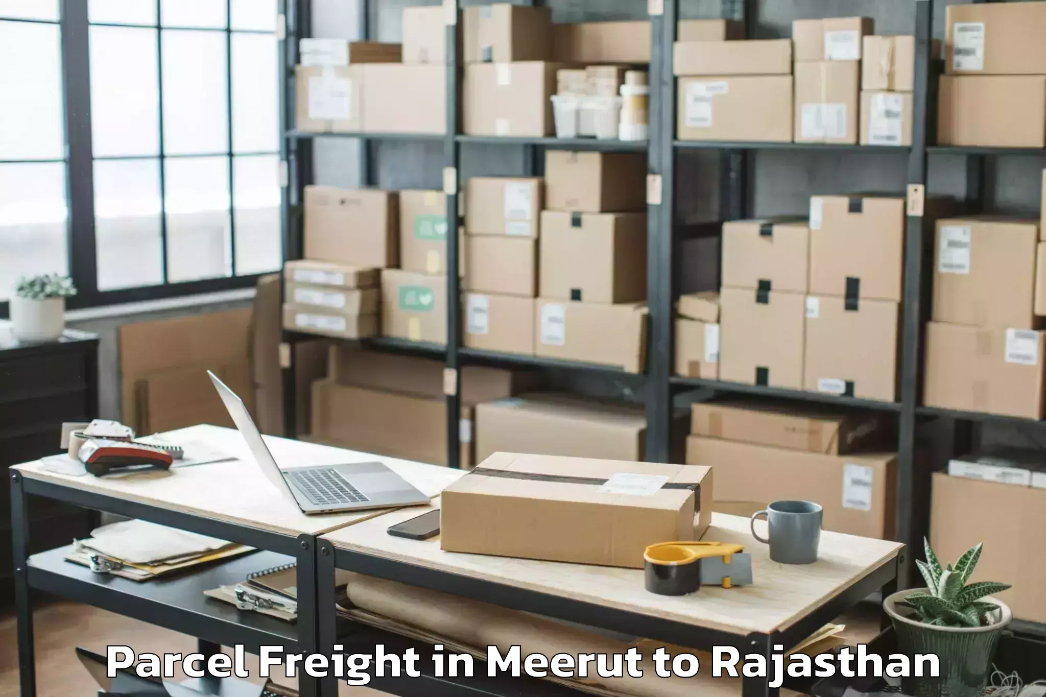 Professional Meerut to Kota Parcel Freight